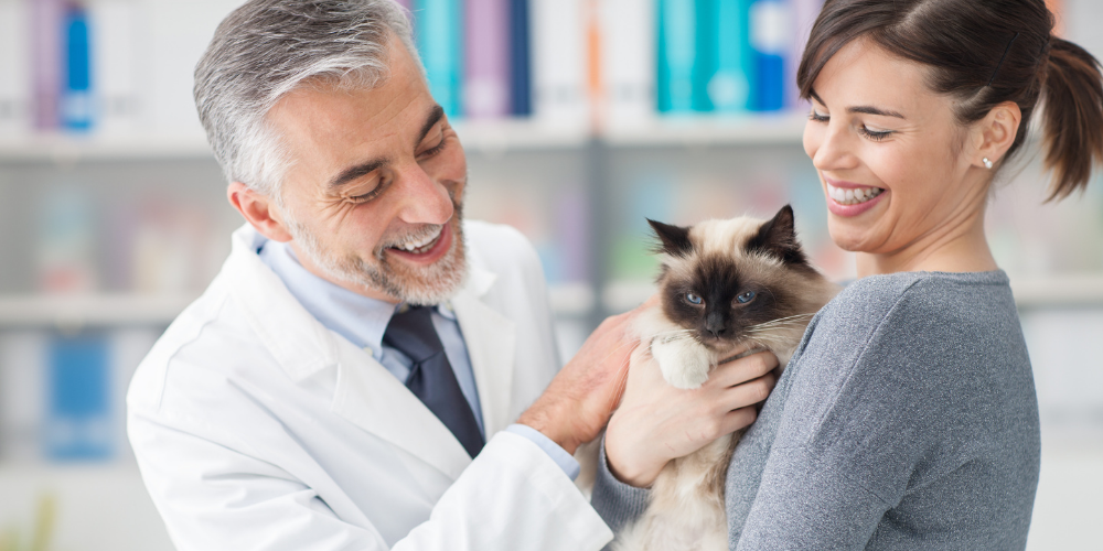 accueil client en clinique vétérinaire, bien accueillir en clinique vétérinaire, améliorer l’accueil client, accueil téléphonique vétérinaire, relation client vétérinaire, expérience client en clinique vétérinaire, protocole d’accueil vétérinaire