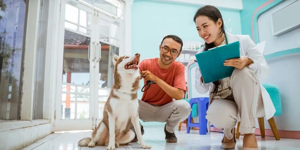 accueil client en clinique vétérinaire, bien accueillir en clinique vétérinaire, améliorer l’accueil client, accueil téléphonique vétérinaire, relation client vétérinaire, expérience client en clinique vétérinaire, protocole d’accueil vétérinaire
