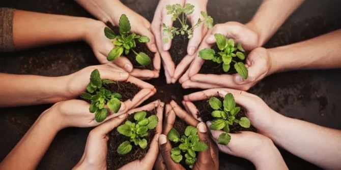 L’écoresponsabilité en clinique vétérinaire transforme les pratiques de soins et de gestion afin de réduire l’impact environnemental tout en préservant la qualité.