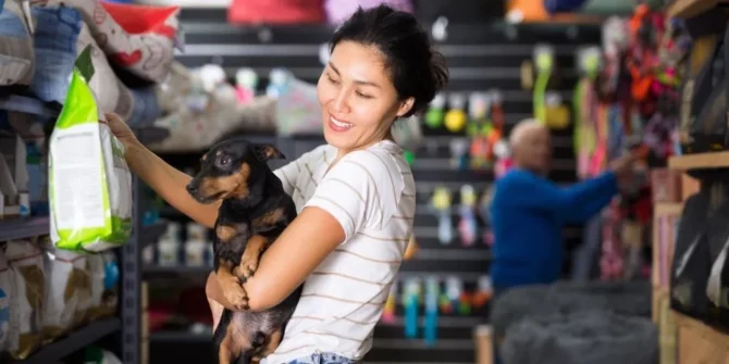 Découvrez les opportunités du marché animalier, ses tendances clés, des exemples concrets et des pistes fiables pour entreprendre durablement dès maintenant.