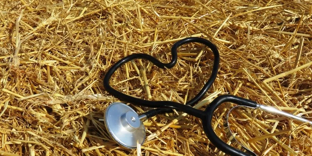 L’écoresponsabilité en clinique vétérinaire transforme les pratiques de soins et de gestion afin de réduire l’impact environnemental tout en préservant la qualité.