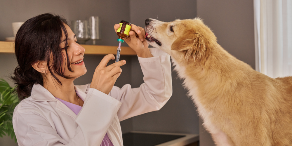 L’écoresponsabilité en clinique vétérinaire transforme les pratiques de soins et de gestion afin de réduire l’impact environnemental tout en préservant la qualité.